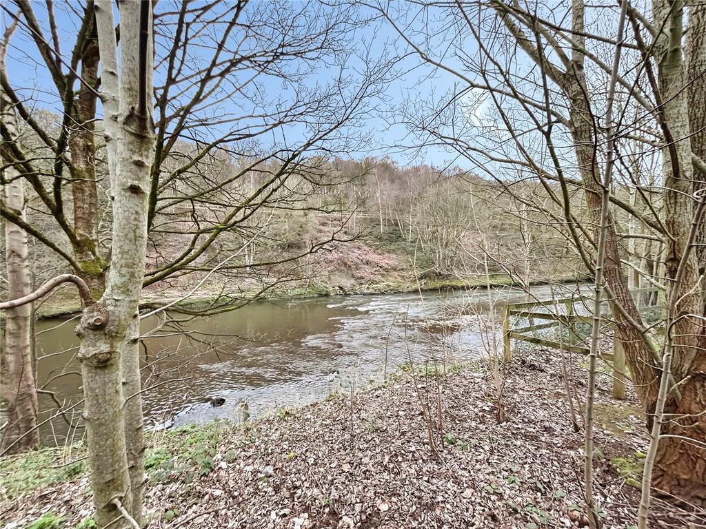 River View