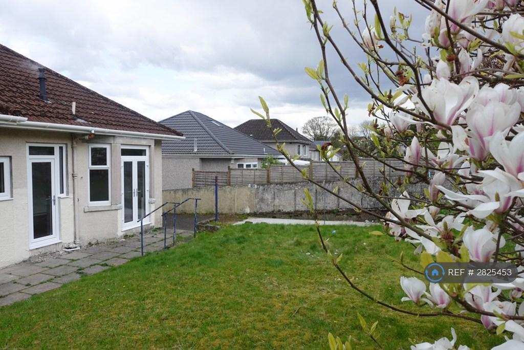 Back Garden