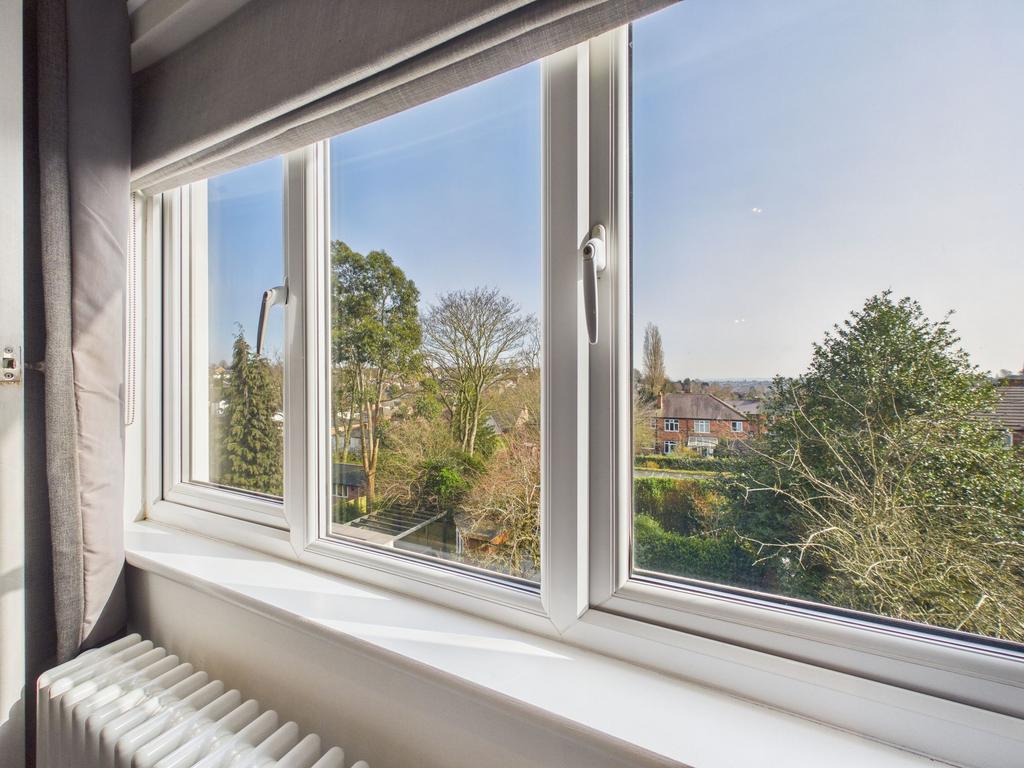 View from Window