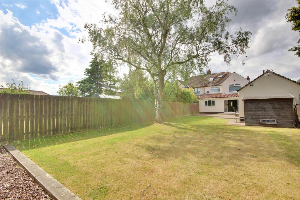 Img 1386-img 1388(1).jpg