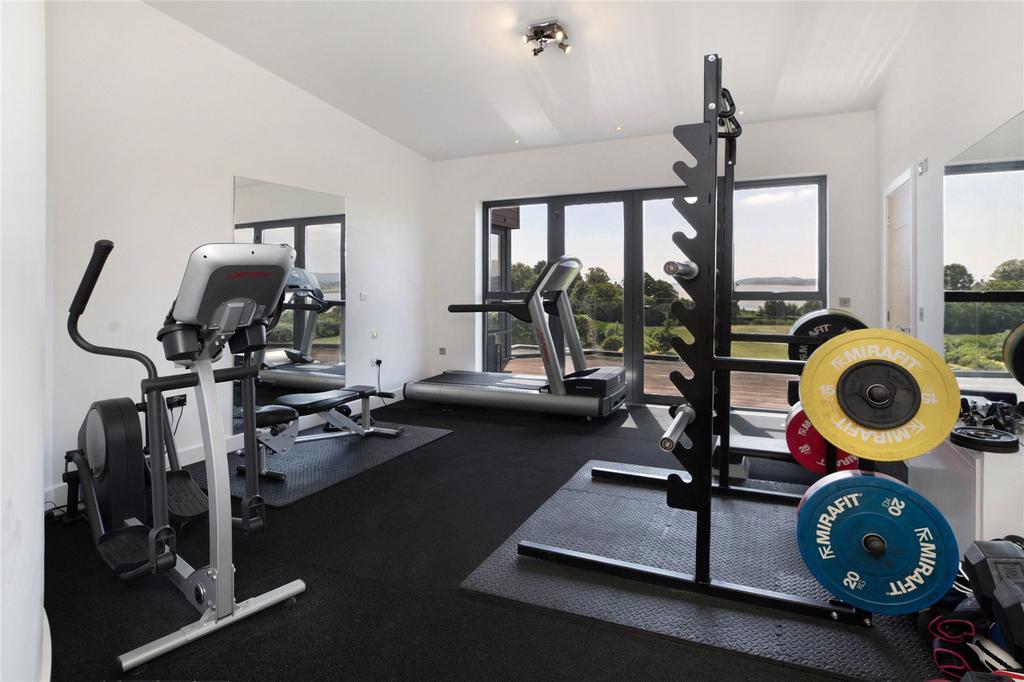 Bedroom/Gym