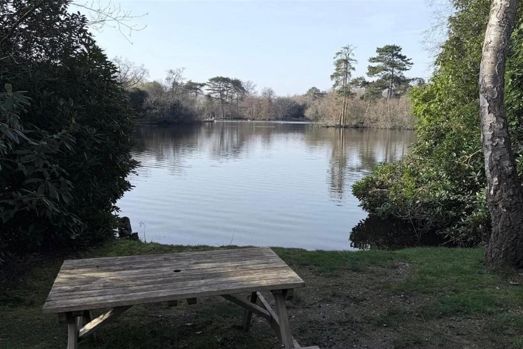 Lake View