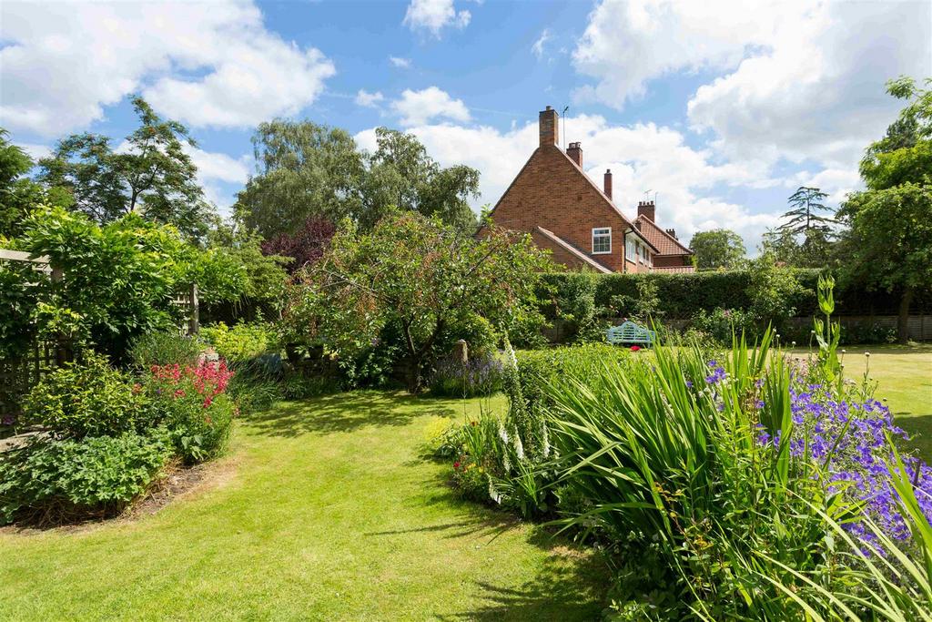 Rear Garden - Summer 2019