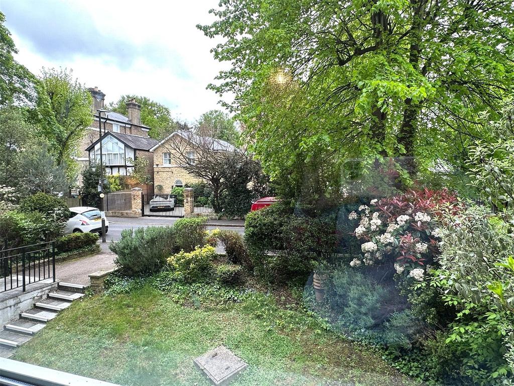 Picture No. 13