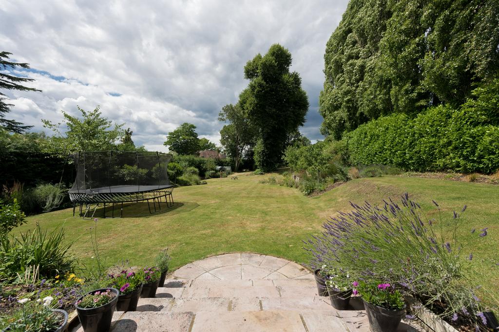 Garden 2