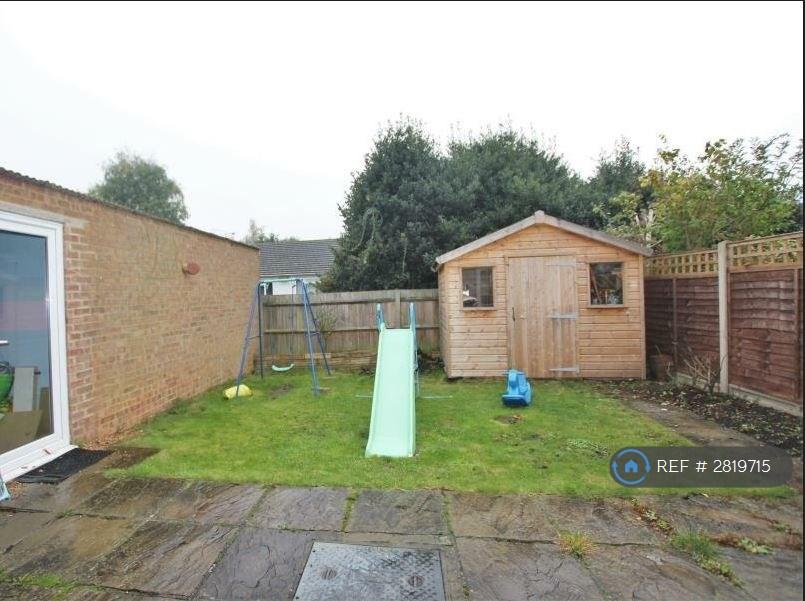 Back Garden