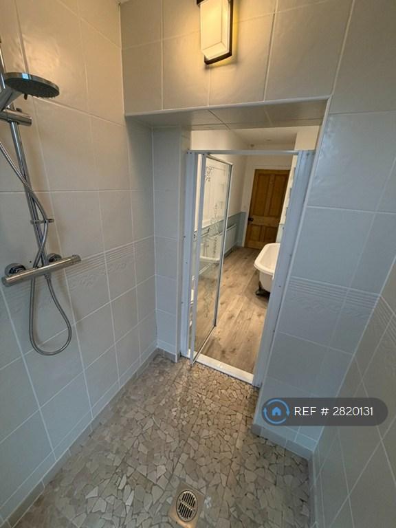 Walk-In Shower View 2