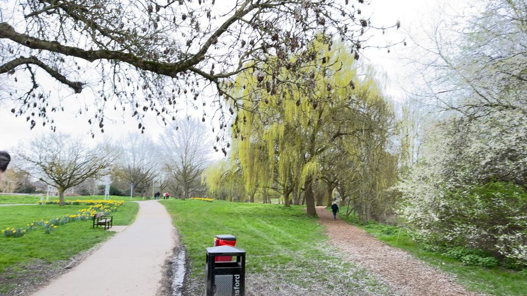 Chelmsford Central Park