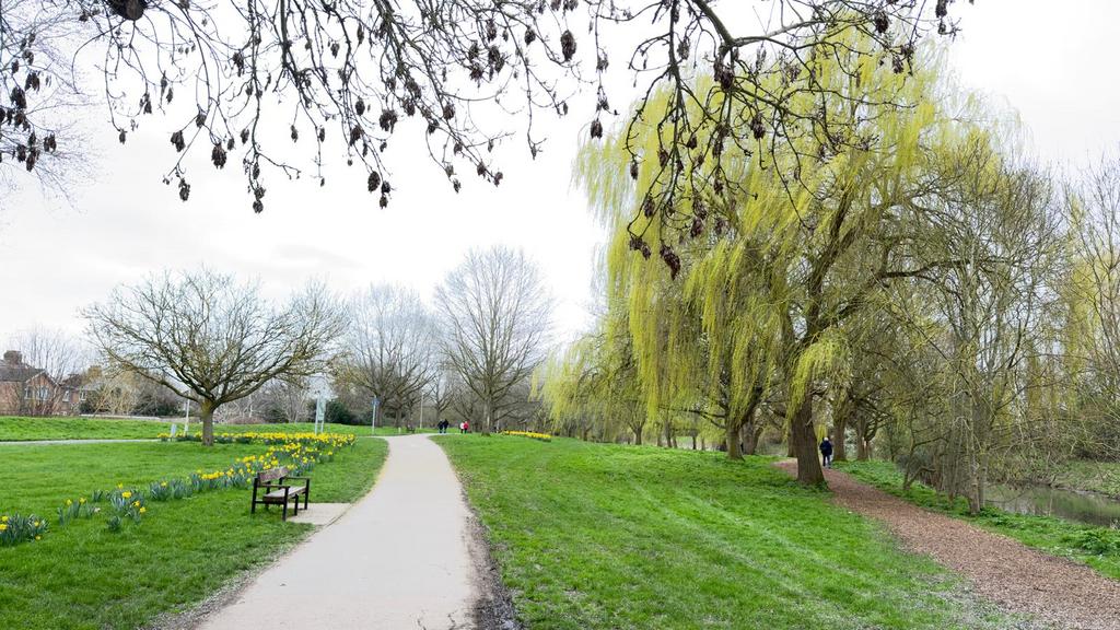 Chelmsford Central Park