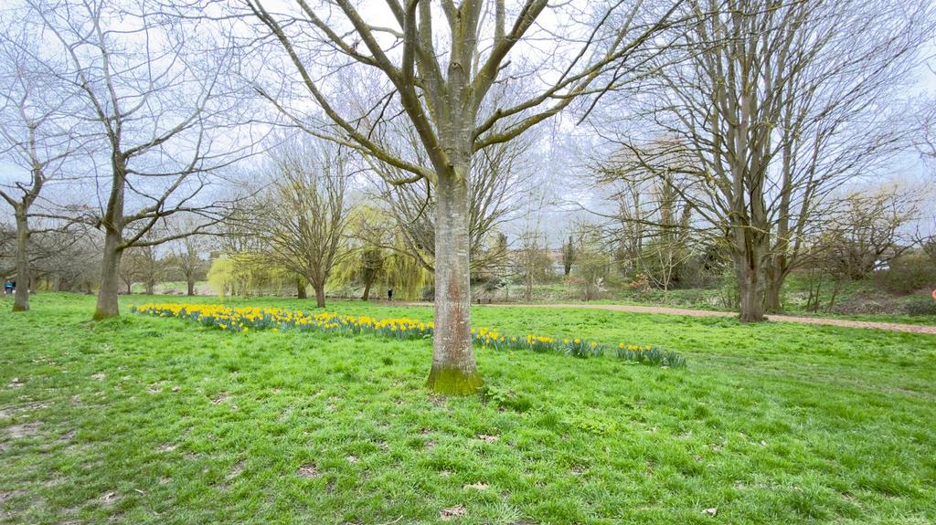 Chelmsford Central Park