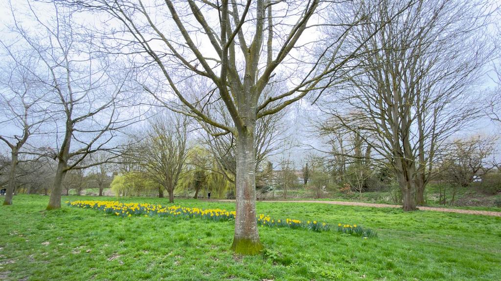 Chelmsford Central Park