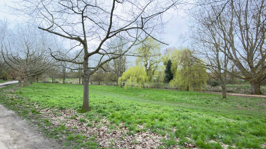 Chelmsford Central Park