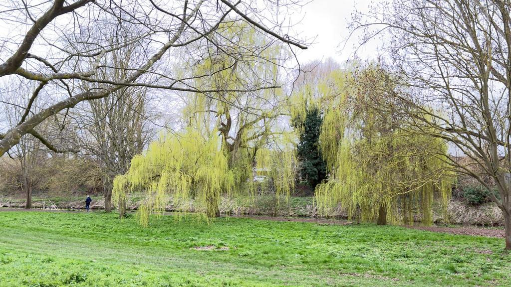 Chelmsford Central Park