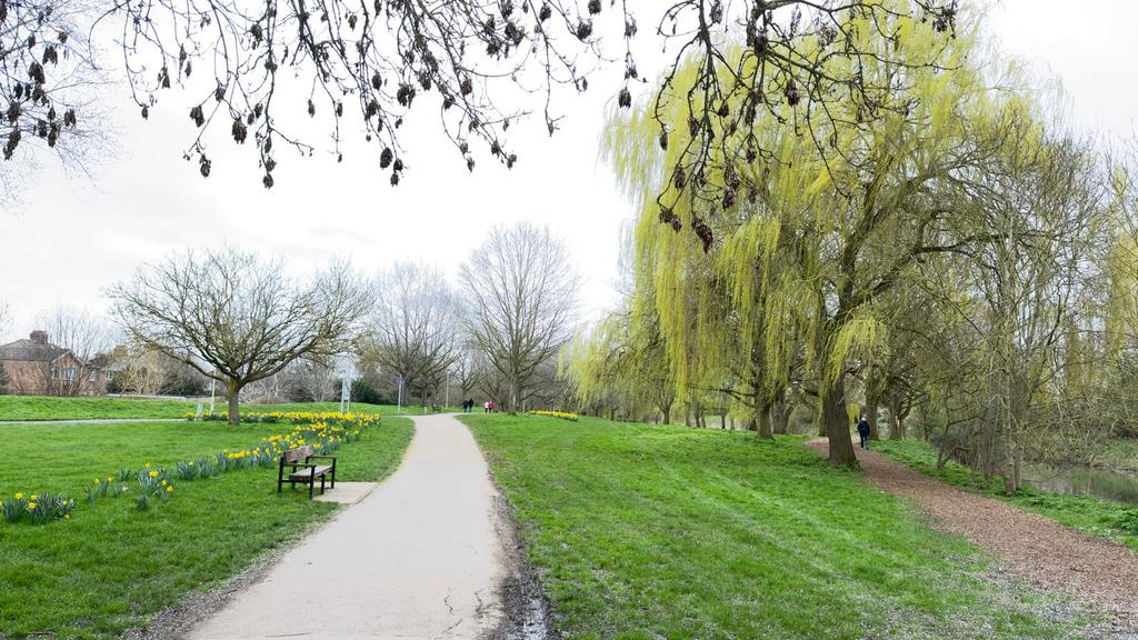 Chelmsford Central Park