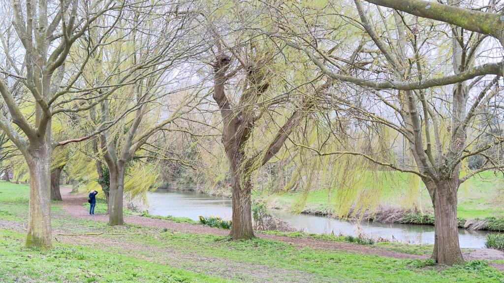 Chelmsford Central Park