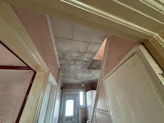 Mould &amp; Damp