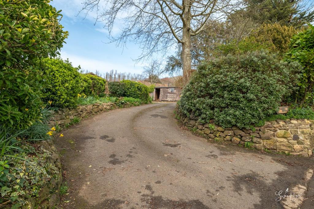 Driveway