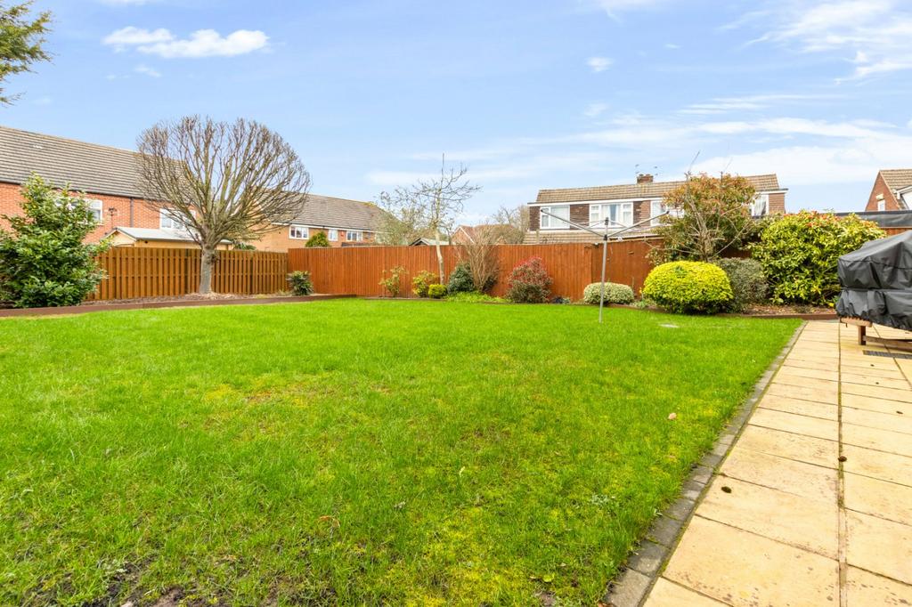 Lawn Area
