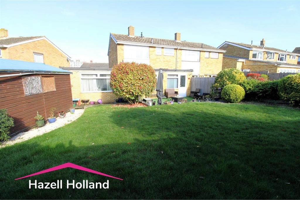 Untitled design - 2026-03-11 T152243.914.jpg