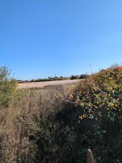 undefined, Land Adj To Little Tillingham Hall, Dunnings Lane, CM13
