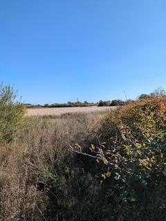 undefined, Land Adj To Little Tillingham Hall, Dunnings Lane, CM13