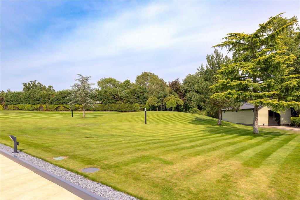 Grounds