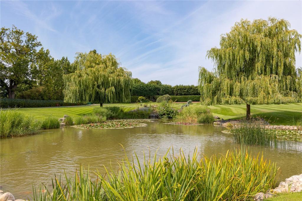 Pond