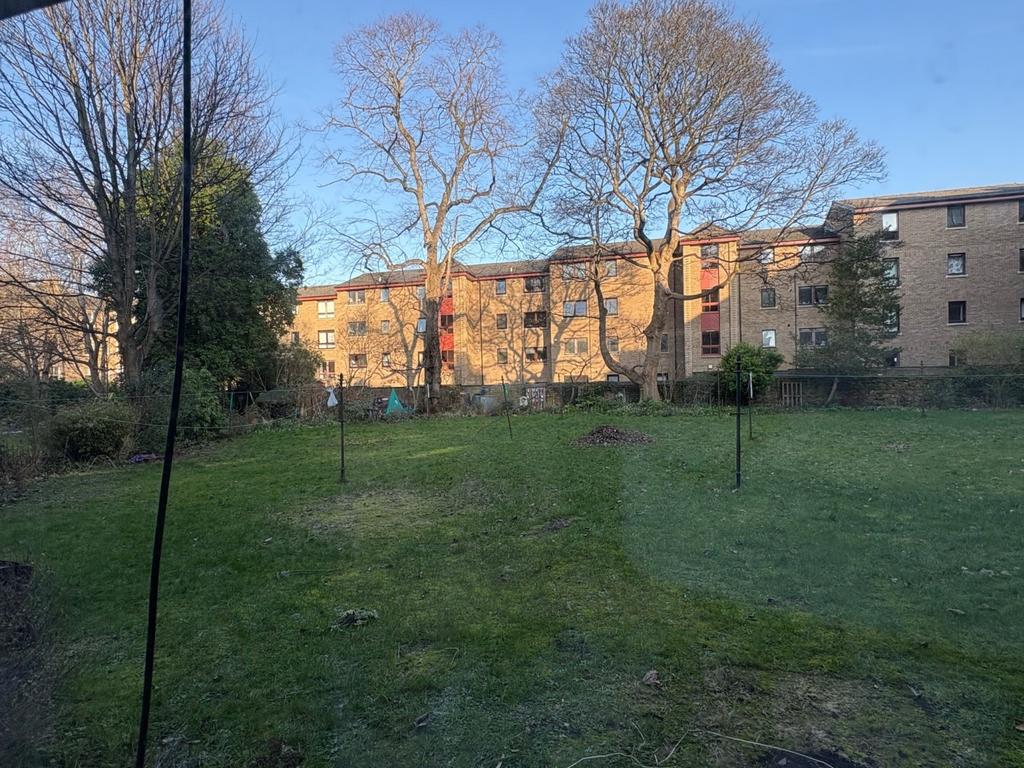 Backgarden 1