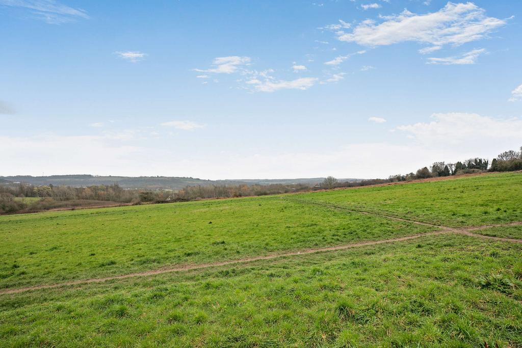 Rural Views