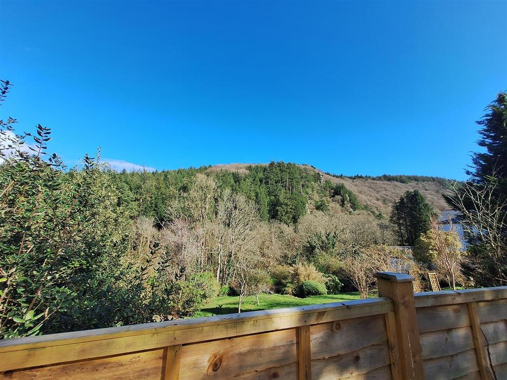Back Garden View From Shed (1).jpg