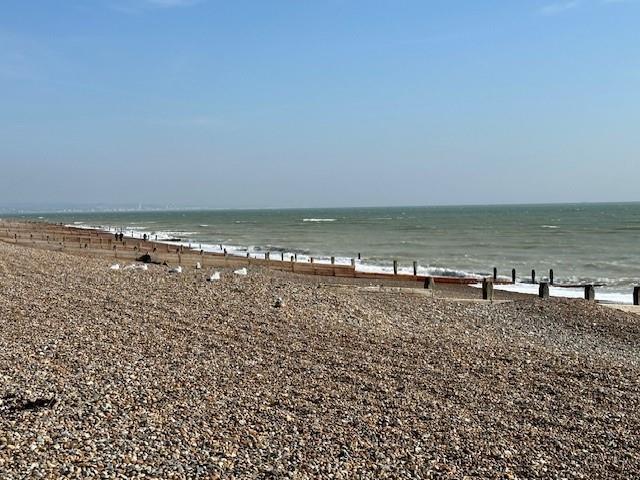 Beach.jpg