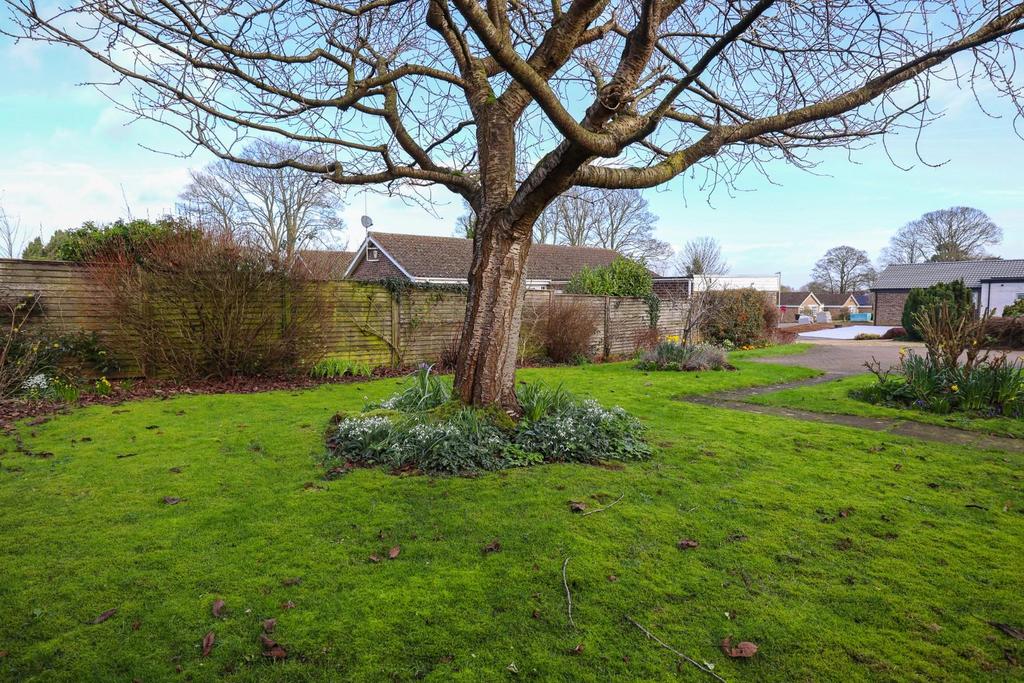 Front garden (2).jpg