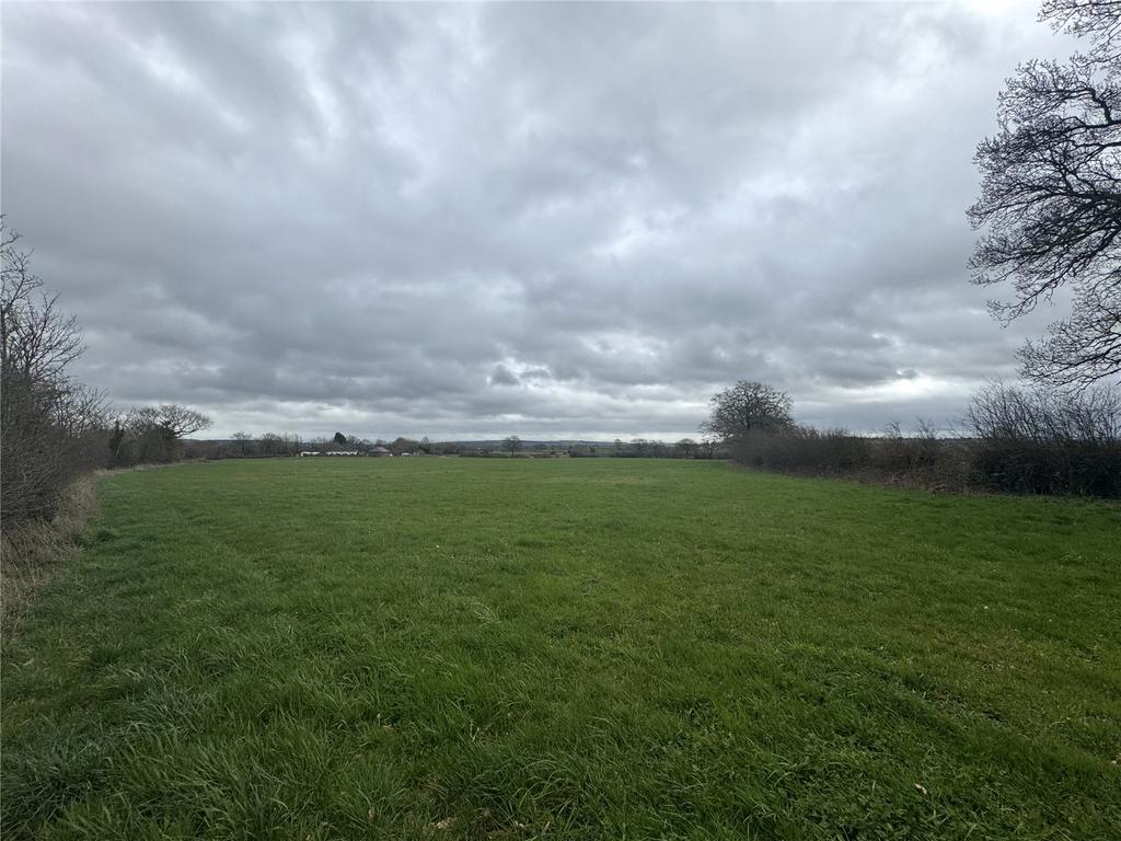 Field Plot