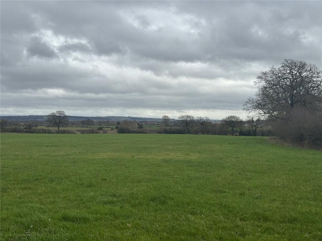Field Plot