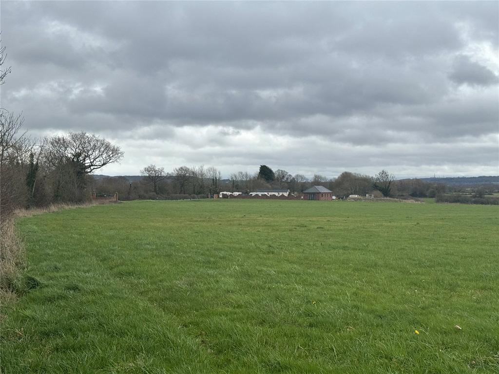Field Plot
