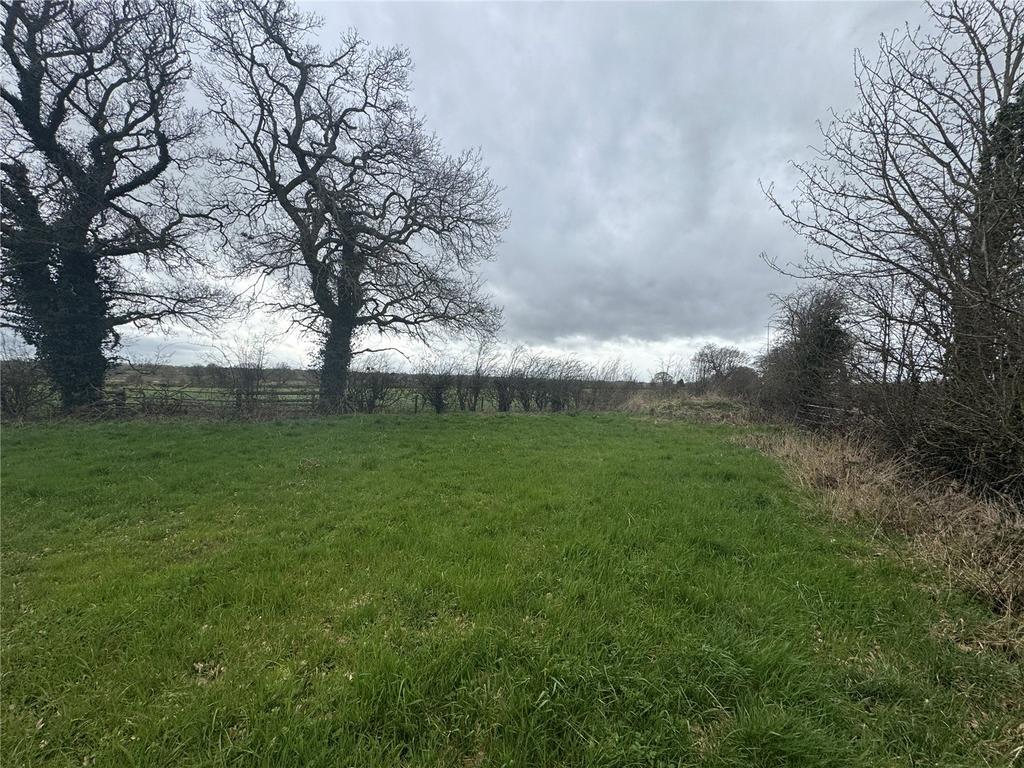 Field Plot