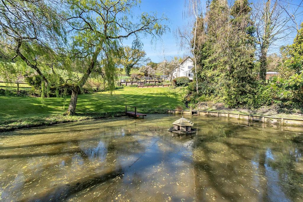 Pond
