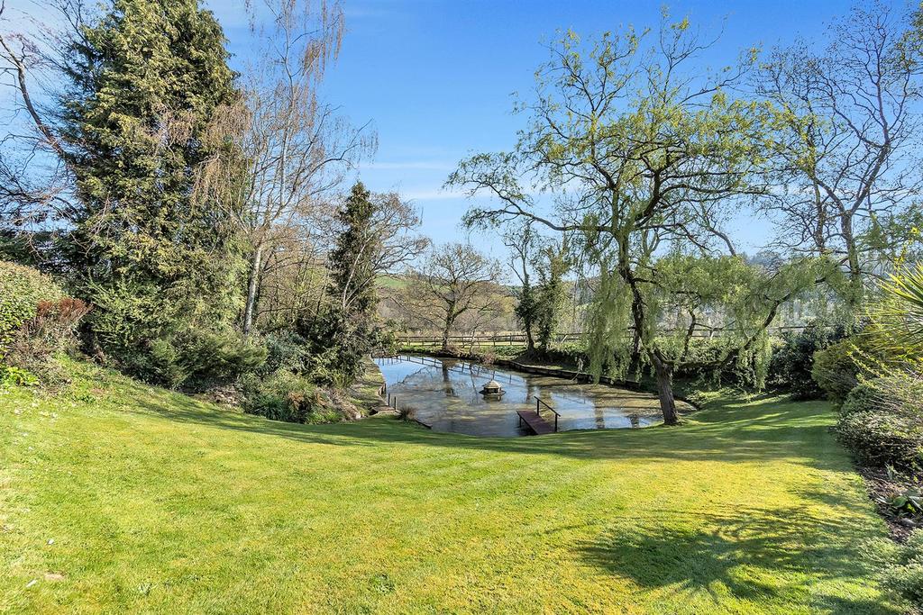 Pond view