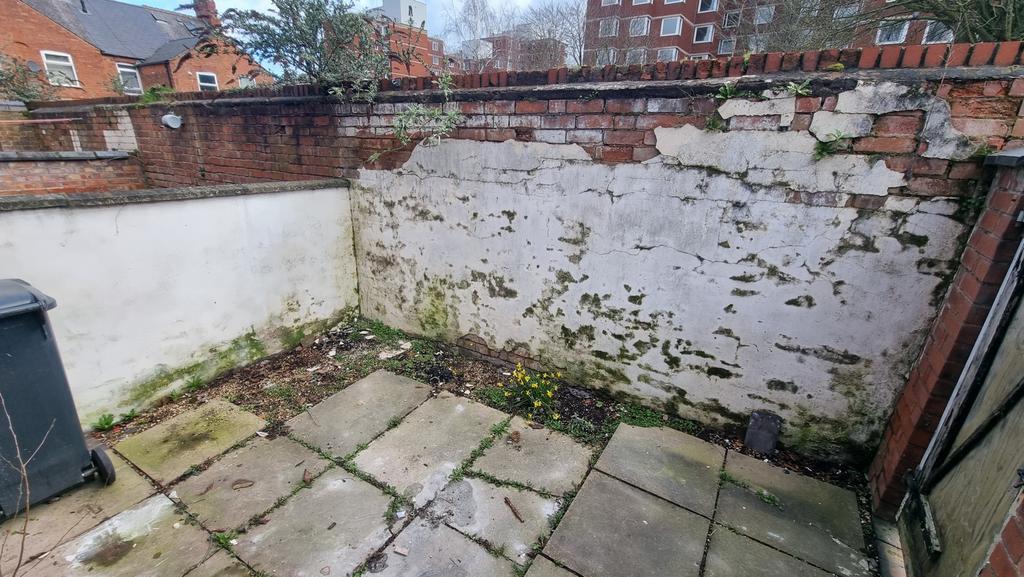 Back Garden