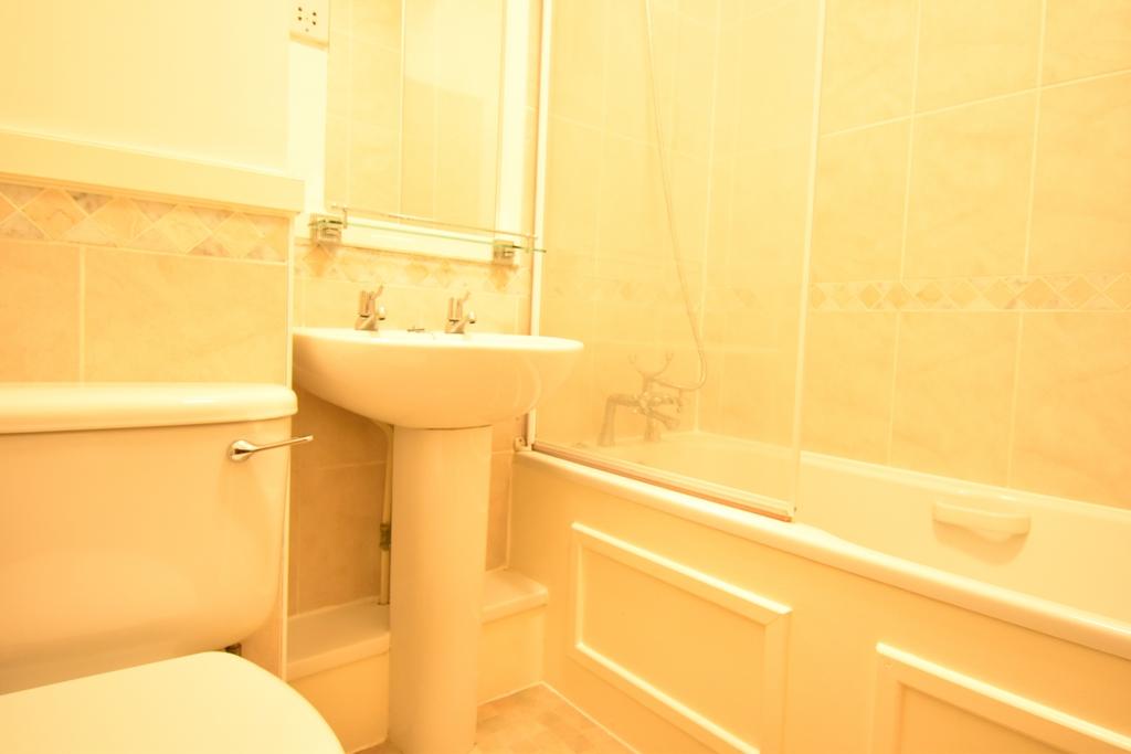 Image (4)