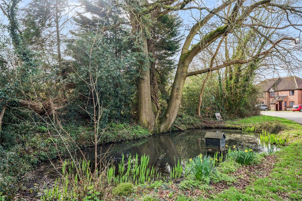 Village Pond