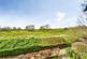 Wildhay Brook, Hilton, Derby photo 2