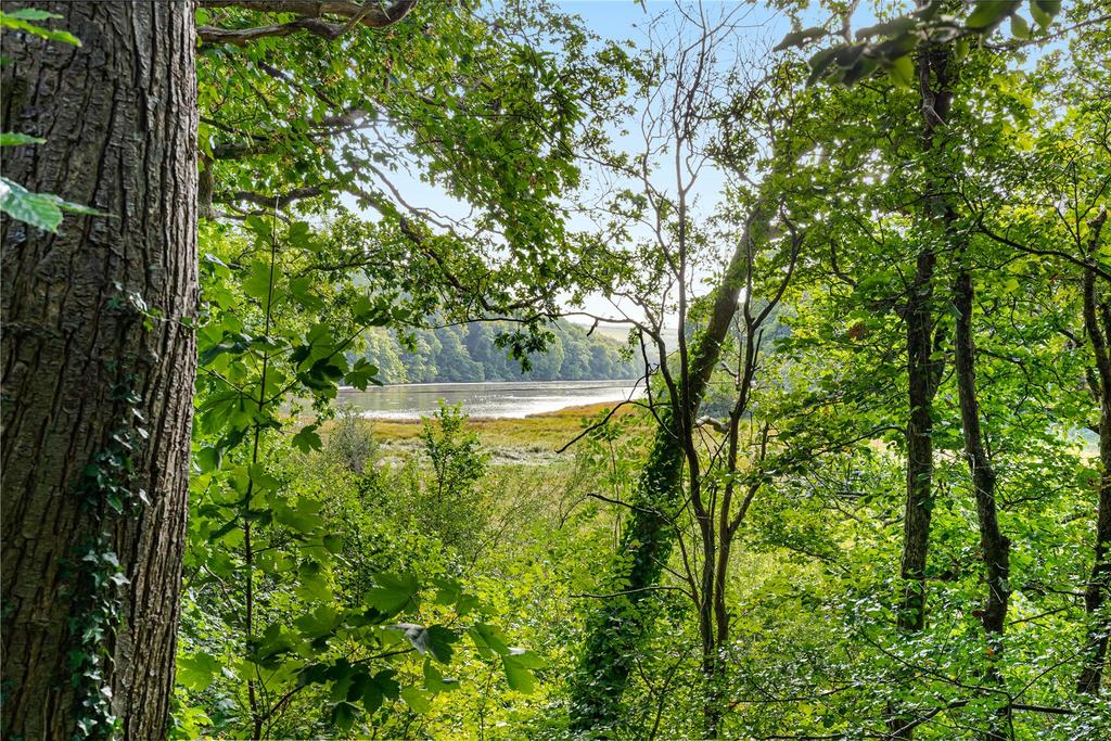 View From Woodland