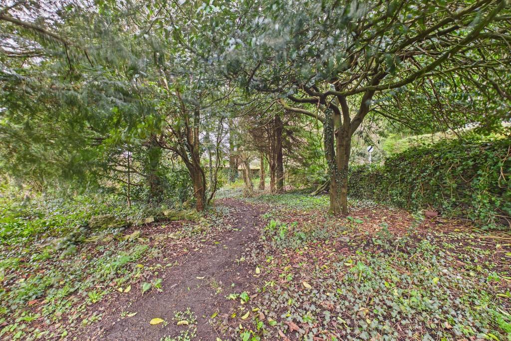 Woodland