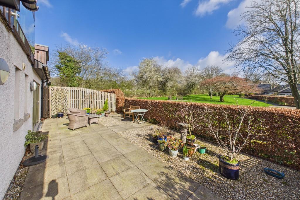 Rear Patio Garden