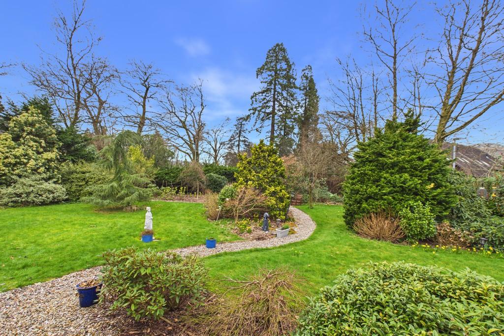 Back Garden