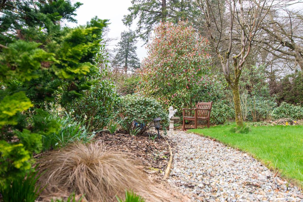 Back Garden