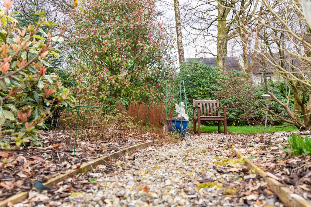 Back Garden