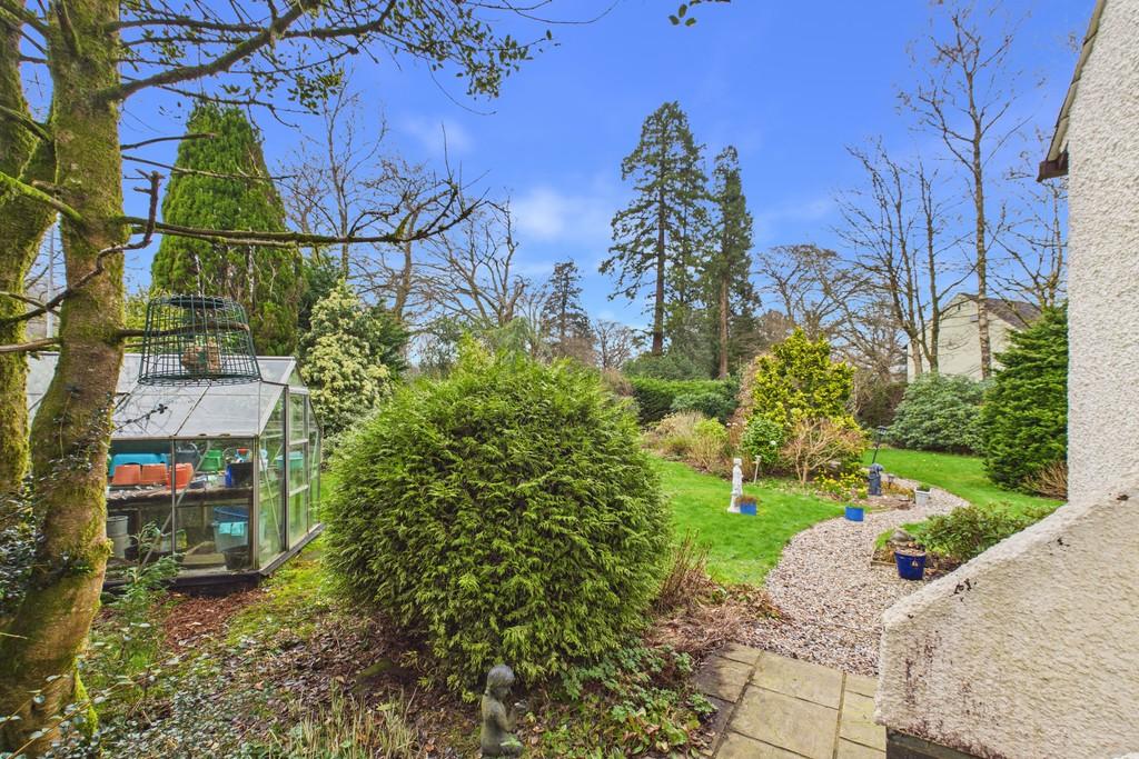 Back Garden