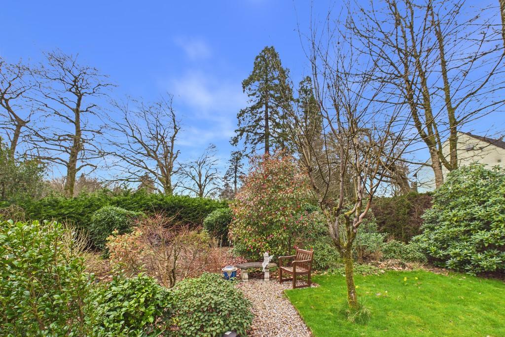 Back Garden